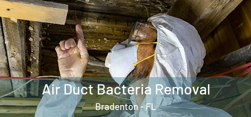 Air Duct Bacteria Removal Bradenton - FL