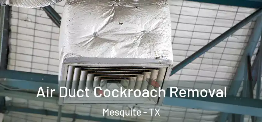 Air Duct Cockroach Removal Mesquite - TX