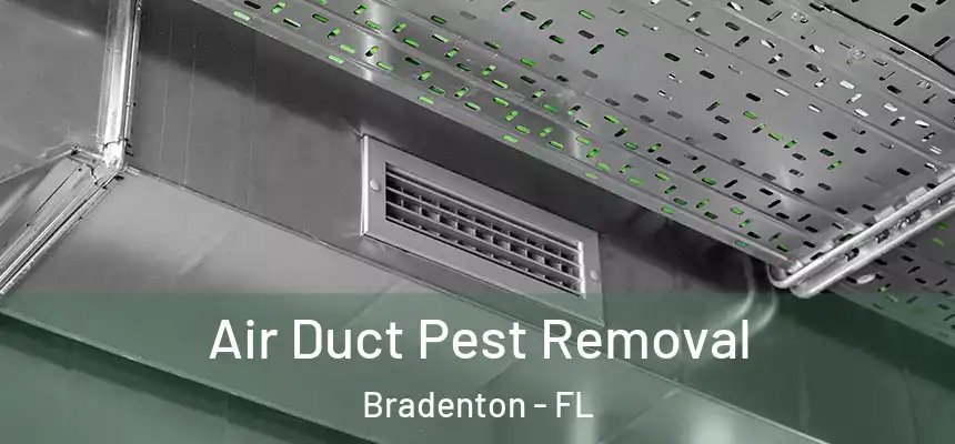 Air Duct Pest Removal Bradenton - FL