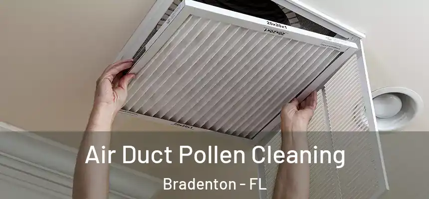 Air Duct Pollen Cleaning Bradenton - FL