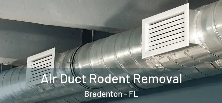Air Duct Rodent Removal Bradenton - FL