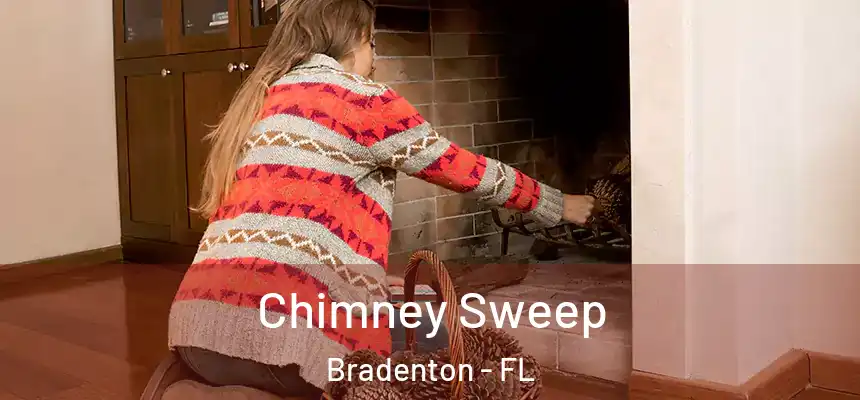  Chimney Sweep Bradenton - FL