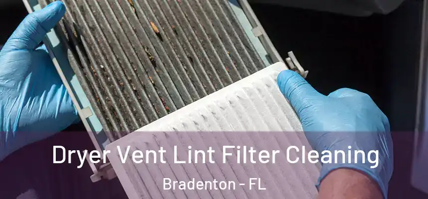 Dryer Vent Lint Filter Cleaning Bradenton - FL