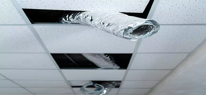 Affordable HVAC Sanitizing After Pest Removal in Bradenton