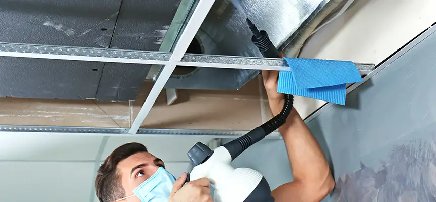 Our Air Duct Rodent Removal Services in Mesquite, TX