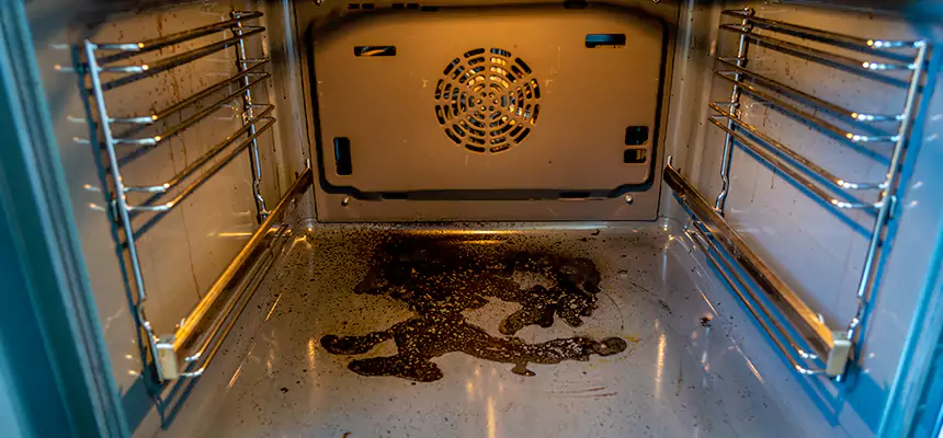 Our Dryer Vent Mold Cleaning Services in Mesquite, TX