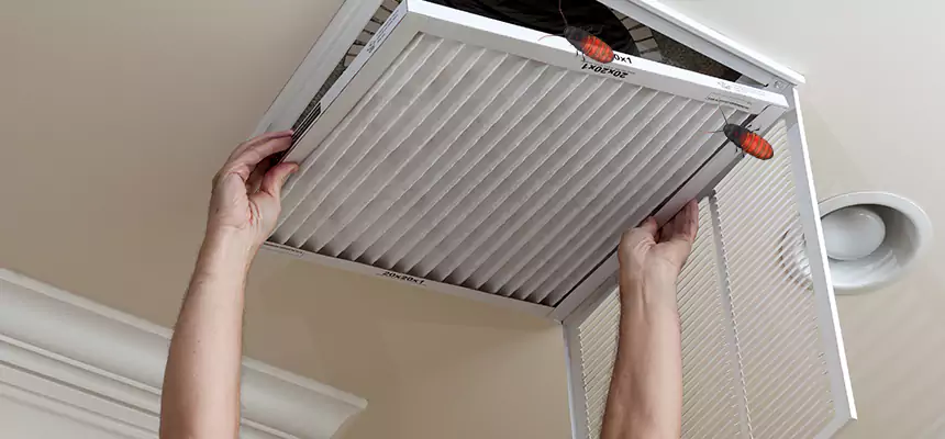 Our Insect Removal from Air Ducts Services in Mesquite, TX