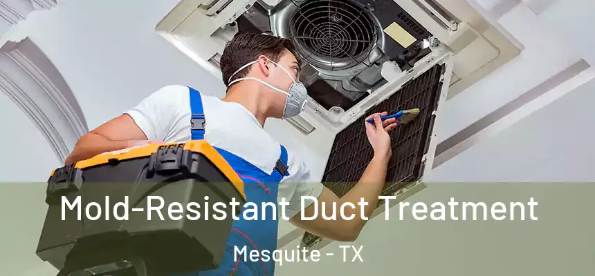  Mold-Resistant Duct Treatment Mesquite - TX