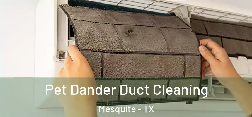 Pet Dander Duct Cleaning Mesquite - TX