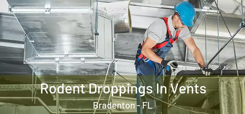  Rodent Droppings In Vents Bradenton - FL