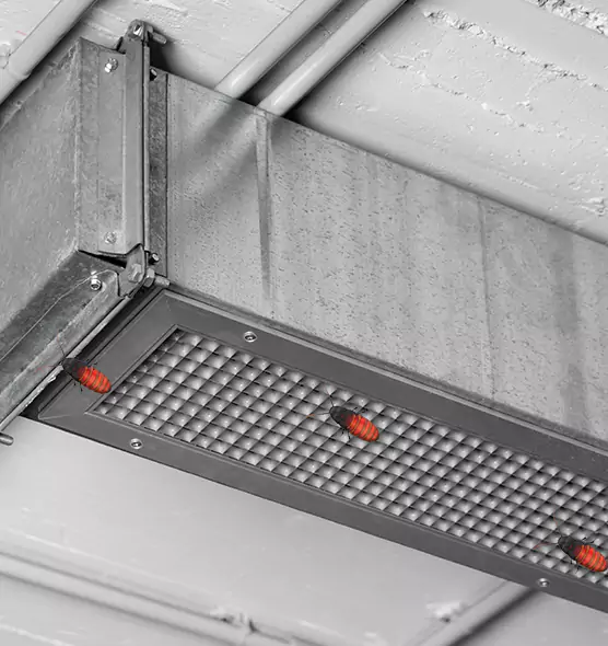 About Air Duct Cockroach Removal in Mesquite, TX
