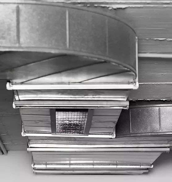 Professional Air Duct Pest Removal in Mesquite, TX