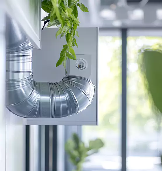 Professional Eco-Safe Dryer Vent Cleaning in Mesquite, TX