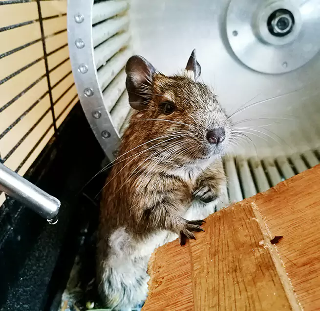 Why Homeowners & Businesses Trust Us Mesquite, TX