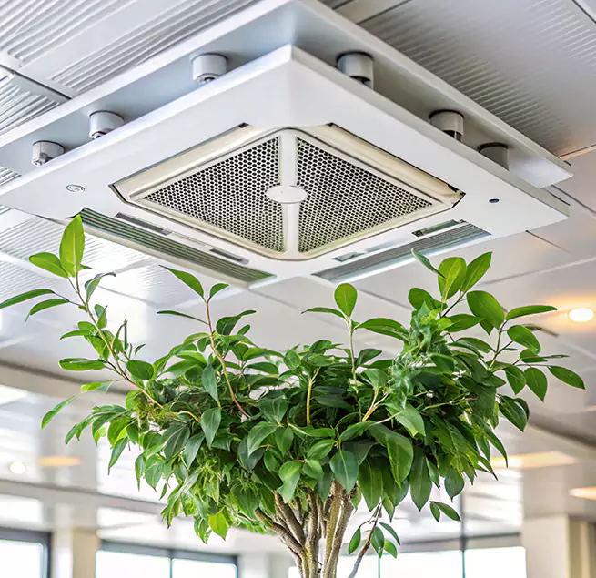 Why Homeowners & Businesses Trust Us in Bradenton, FL?