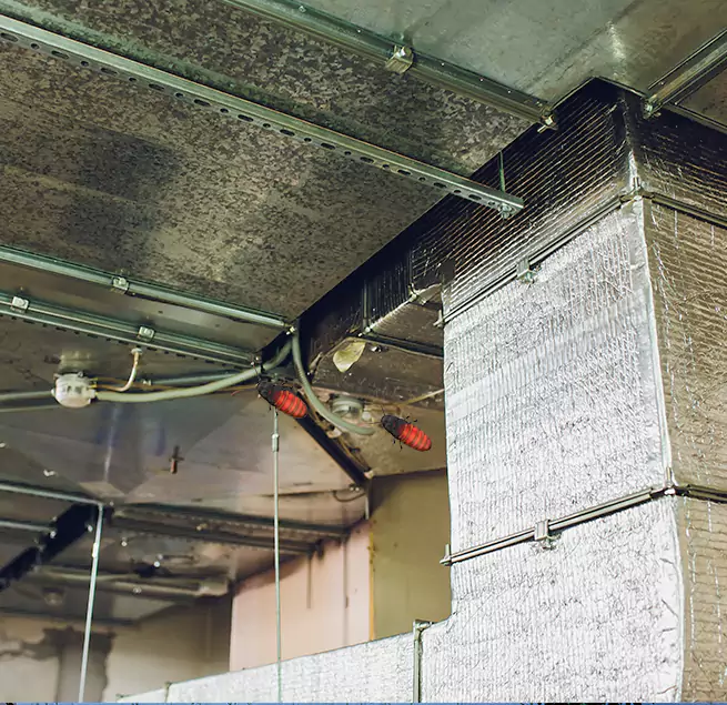 Why Homeowners & Businesses Trust Us Bradenton, FL?