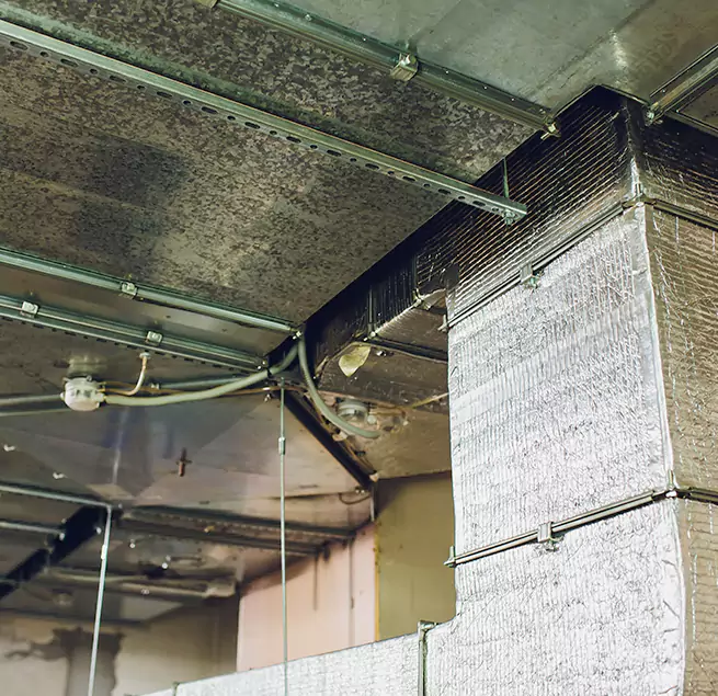 Why Homeowners & Businesses Trust Us in Bradenton, FL?