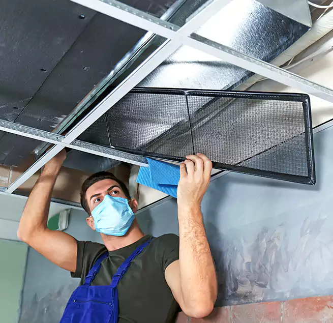 Why Homeowners Businesses Trust Us in Bradenton, FL