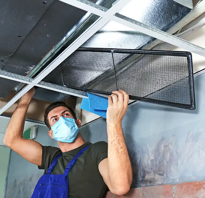 Why Homeowners & Businesses Trust Us in Mesquite, TX?